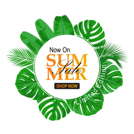 poster promotion summer sale green eco background with leaves frame for advertisementのイラスト素材