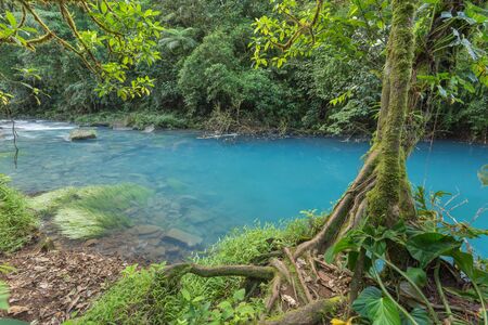 Landscapes - Amazing blue river in Costa Ricaの写真素材