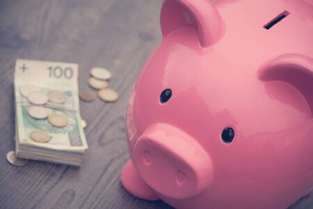 Piggy-bank / money savings / concept of growthの写真素材