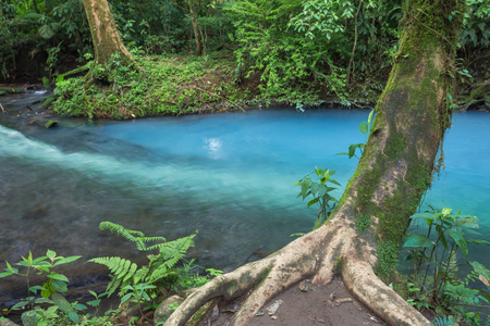 Blue river in the jungleの写真素材