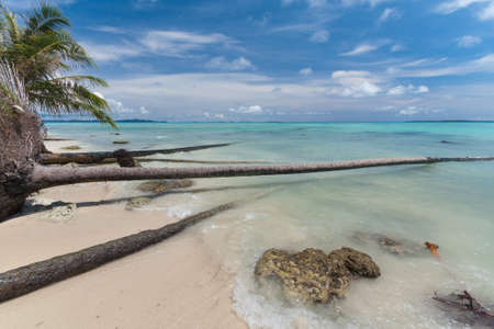 Paradise beach landscapeの写真素材