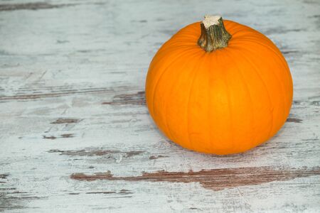 Pumpkinの写真素材