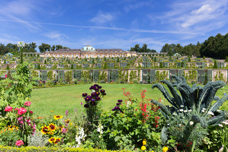 Historic gardens and palace architecture in Potsdamの写真素材