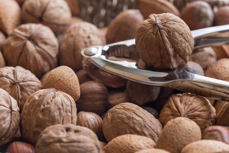 Nuts of different kinds