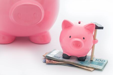 Big and little money piggy bank as a saving concept / brazilian money
