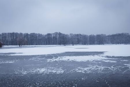 winter landscape, trees against the background of a frozen lakeの写真素材