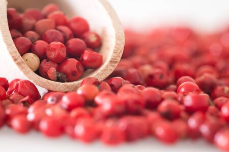 Brazilian pepper / Kitchen spicesの写真素材