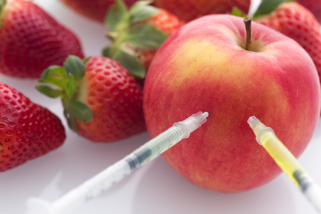 Modified food, fruits,apple and strawberries with punched needles and syringes / isolatet on a white backgroundの写真素材
