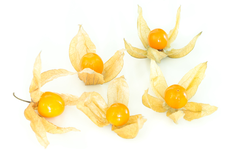 physalis fruit / healthy foodの写真素材