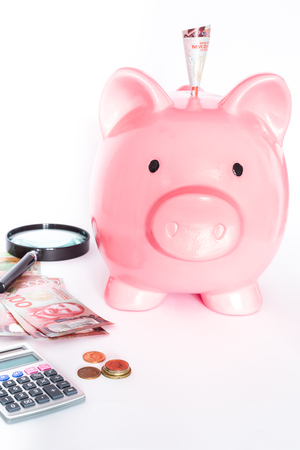 New Zealand dollars and piggy moneyboxの写真素材