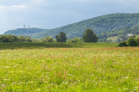 Out of town. A flourishing meadow and hills in the distanceの写真素材