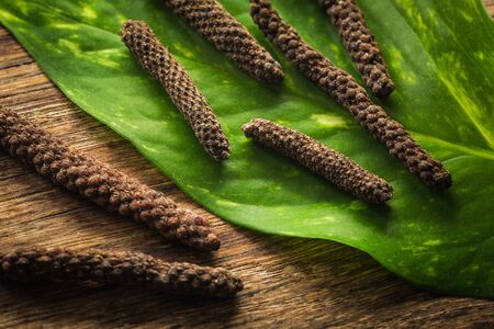 Black Chili Natural Balinese Spices.の写真素材