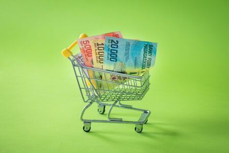 Miniature shopping trolley with Madagascar money. The concept of shopping and the power of the economy. Place for textの写真素材