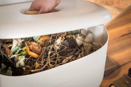 worm farm, composter. Eco-friendly home disposal of biodegradable waste and processing it into natural fertilizerの写真素材