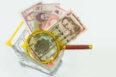 A miniature shopping cart with Paraguayan Currency and a magnifying glass. Economic and business...