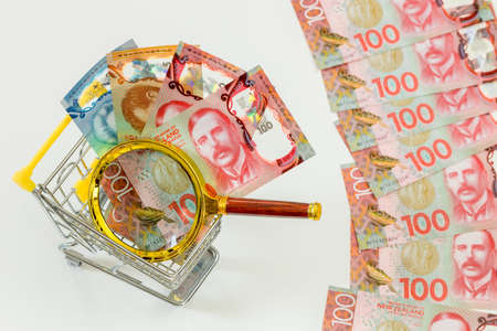 A miniature shopping cart with New Zealand dollars and a magnifying glass. Economic and business...