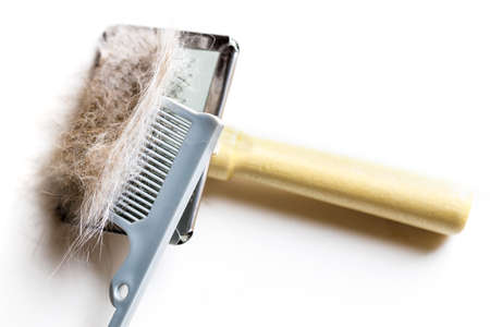 brush and comb full of hair after grooming your pet