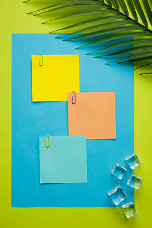 Tropical green background with exotic tropical palm leaf. Ice cubes. Blank colorful cards with space for text, Minimal summer concept, work motivation. escape from the office, integration trip, Flatの写真素材
