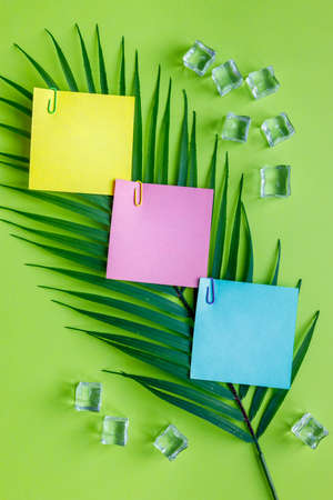 Tropical green background with exotic tropical palm leaf. Ice cubes. Blank colorful cards with space...
