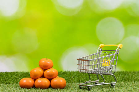 A pile of fresh mandarins on the background of nature, shopping cart, The concept of healthy fruits and vegetables grown in harmony with natureの写真素材