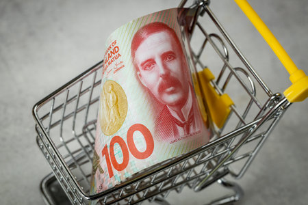 New Zealand one hundred dollars in an empty shopping cart, Concept, rising prices in stores, Shopping more expensive, Inflation in New Zealand, business and financeの写真素材
