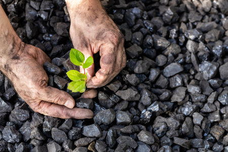 hands of a miner planting a green plant on a coal heap, Environmental concept, carbon free, climate goal, Energy industryの写真素材