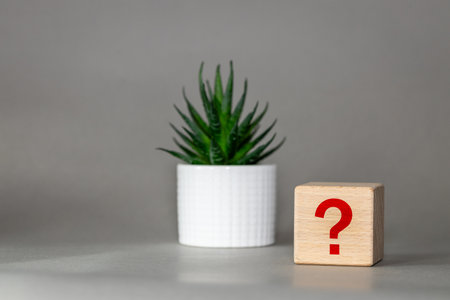 Question mark symbol. Unknown before decision, Business concept, Looking for answers, wooden cube on desk next to succulent on beautiful gray backgroundの写真素材