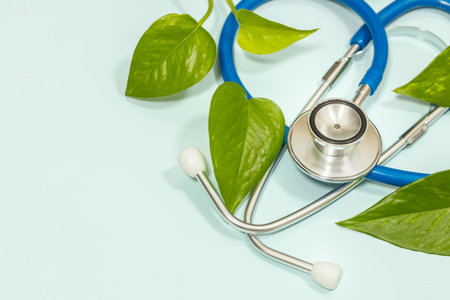 Natural medicine, health concept, disease prevention, medical stethoscope surrounded by green leaves, nature and health, creative, copy space, light backgroundの写真素材