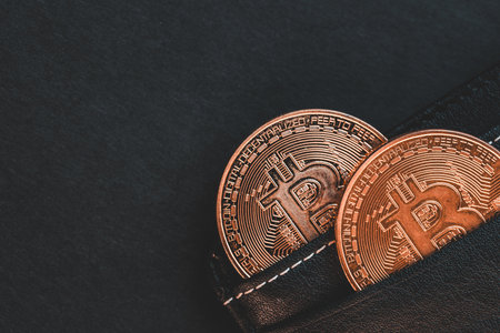 Cryptocurrency wallet, financial concept, Gold bitcoins sticking out from black wallet, copy spaceの写真素材