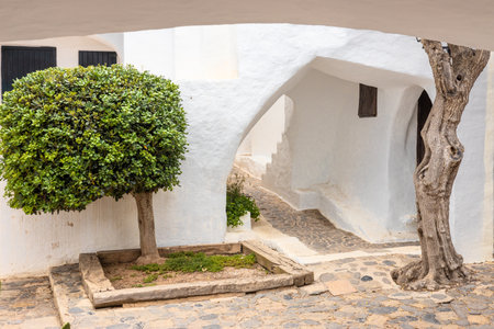 a narrow stone path between the white walls of the building, at the end of which you can see an illuminated green tree. The atmospheric village of Binibeca on Menorca in Spainの写真素材
