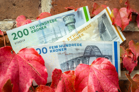Denmark money. Danish kroner paper banknotes among red autumn leaves. Financial conceptの写真素材
