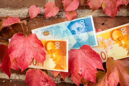 Israeli money against the background of red autumn leaves. Concept. Travel costs to Israeli memorial sites in Eastern Europeの写真素材