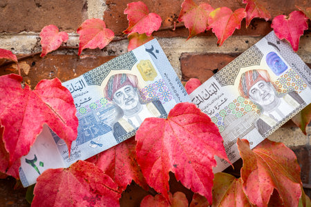 Banknotes 10 and 20 rials on a background of red leaves.の写真素材