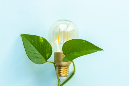 bulb wrapped in natural green jungle leaves. Environmental concept. Green energy, Environmental...