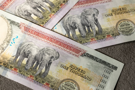 Nepal money. Highest denominations, One thousand Nepalese rupee banknotes. Elephant on Nepalese currency. Financial success. Business conceptの写真素材