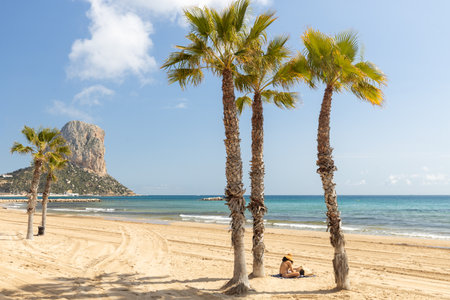 Calpe. Spain's Costa Blanca coast. A city beach with palm trees and a peak called Penon de Ifach (Little Giblartar)の写真素材