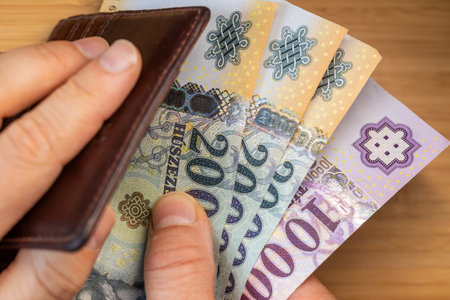 Hungary money. financial business concept. Hungarian banknotes taken out of wallet, large denominations of forints. rising prices. close upの写真素材
