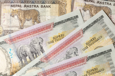 Nepal money. financial background, business concept, 500 and 1000 Nepalese rupee banknotes, flat lay, close upの写真素材
