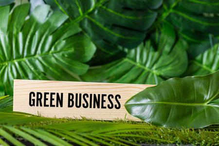 Green business on a wooden board among greenery. Business concept related to the environment. close upの写真素材