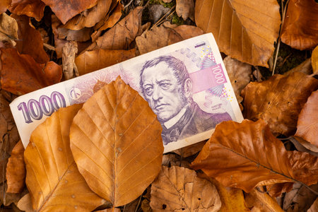 Czech money. A thousand Czech crowns banknote lying among the dried leaves. Financial conceptの写真素材