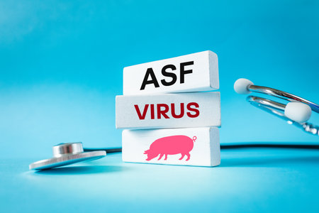 ASF virus. African Swine Fever. Concept of pig health. A highly infectious and fatal viral disease affecting pigs and wild boars. Copy space, close upの写真素材
