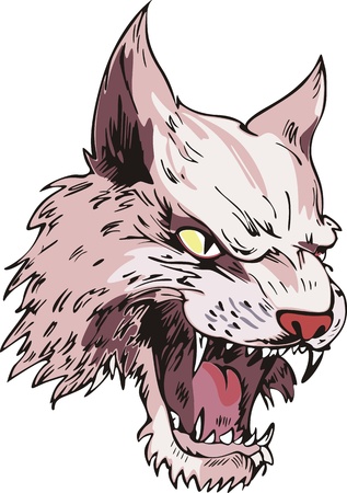 Cougar head. Color illustration. Wild power concept.のイラスト素材