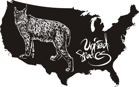 Lynx and U.S. outline map. Black and white vector illustration.のイラスト素材