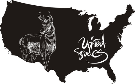 Pronghorn and U.S. outline map. Black and white vector illustration. Antilocapra americana.のイラスト素材