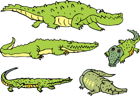 Set of lying and walking comic gators and amusing crocodiles. Vector illustrations.のイラスト素材