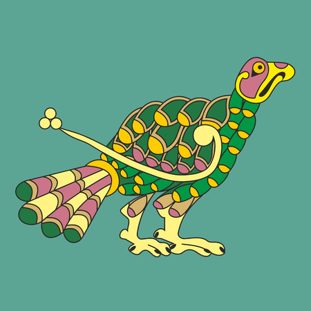 Decorative peacock bird in Celtic style like an illustration in antique medieval illuminated manuscriptのイラスト素材