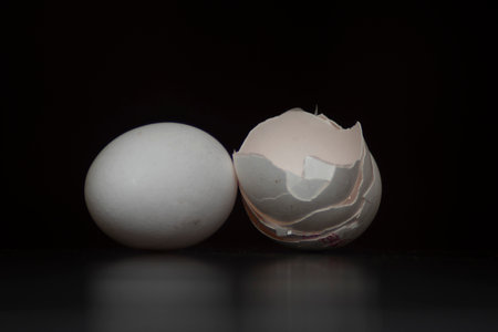 Eggshell and broken egg on a black background. Selective focus.