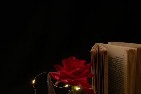 Red rose and a book on a black background with a garlandの写真素材