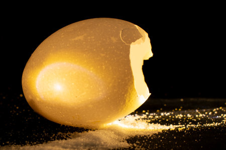 Eggshell on a black background with golden sand. Studio shot.の写真素材