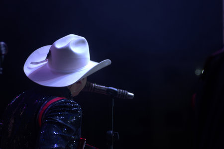 The singer on the stage during a live concert in the night club